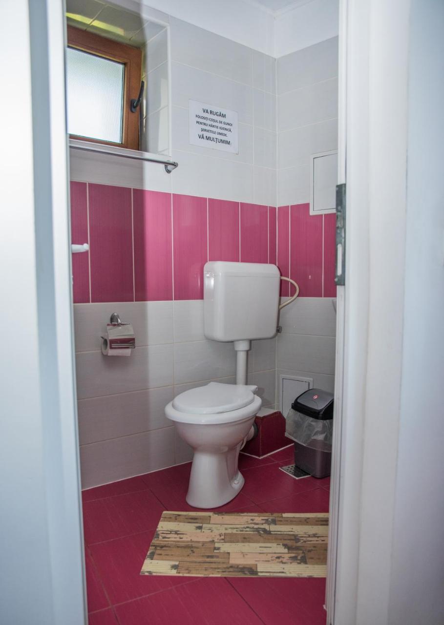Vila Alegria Buşteni Zewnętrze zdjęcie