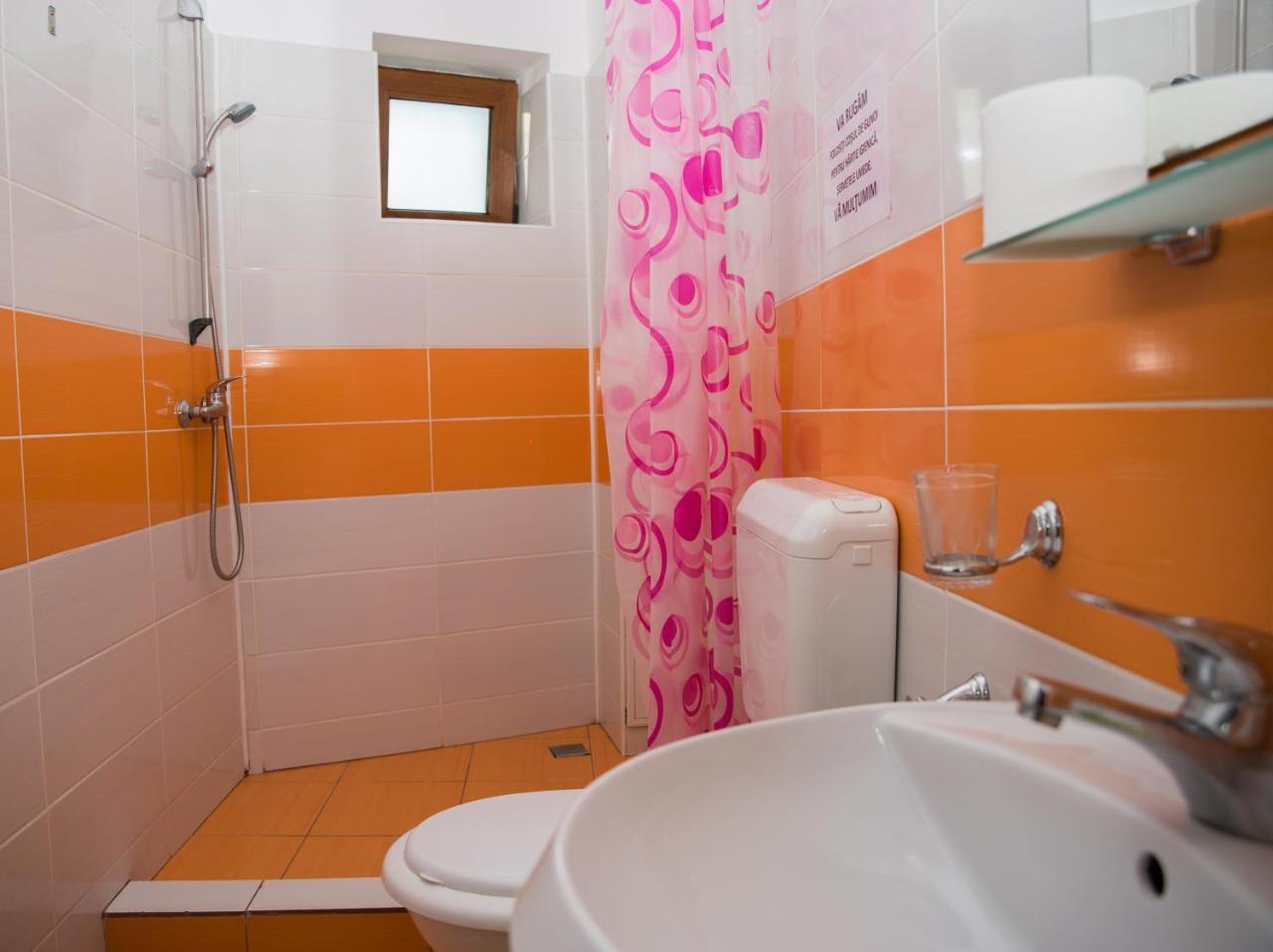 Vila Alegria Buşteni Zewnętrze zdjęcie