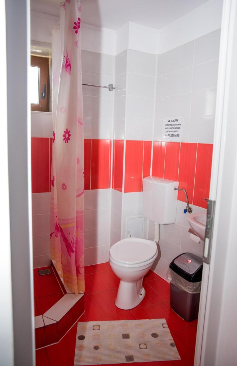 Vila Alegria Buşteni Zewnętrze zdjęcie