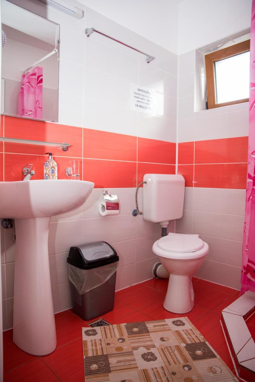 Vila Alegria Buşteni Zewnętrze zdjęcie