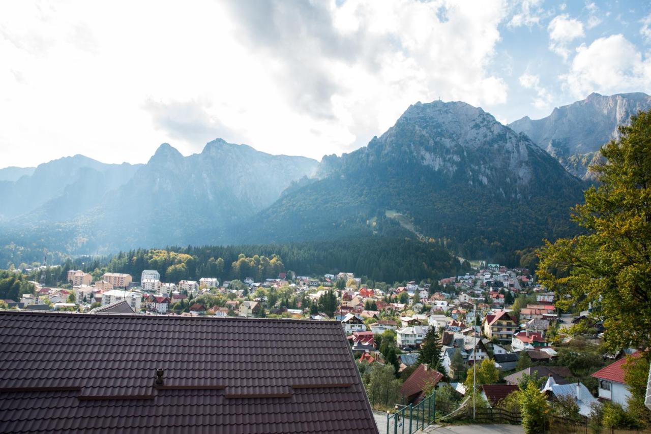 Vila Alegria Buşteni Zewnętrze zdjęcie